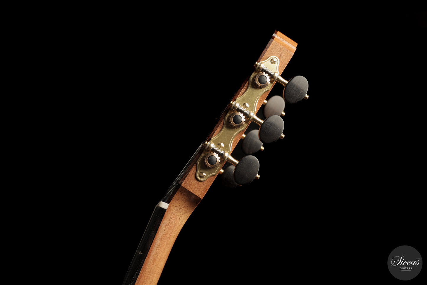 Raffaele Dantone - 2026