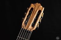Ramin Fallah - 2025 - Spruce/Amazon rosewood C-Stage No.475