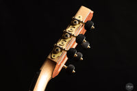 Ramin Fallah - 2025 - Spruce/Amazon rosewood C-Stage No.475
