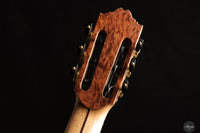 Ramin Fallah - 2025 - Spruce/Amazon rosewood C-Stage No.475