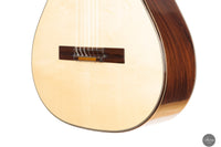 Ramin Fallah - 2025 - Spruce/Amazon rosewood C-Stage No.475