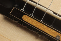 Ramin Fallah - 2026 No. 485