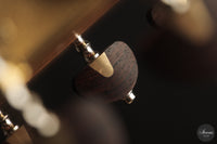 Ramin Fallah - 2026 No. 483