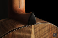 Ramin Fallah - 2026 No. 483