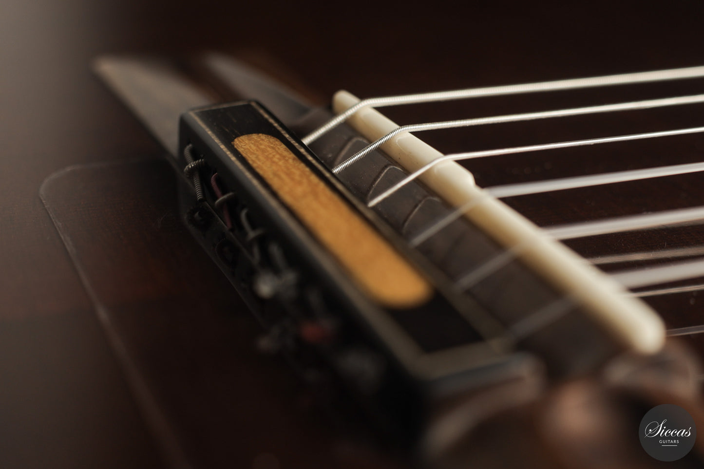 Ramin Fallah - 2026 No. 483