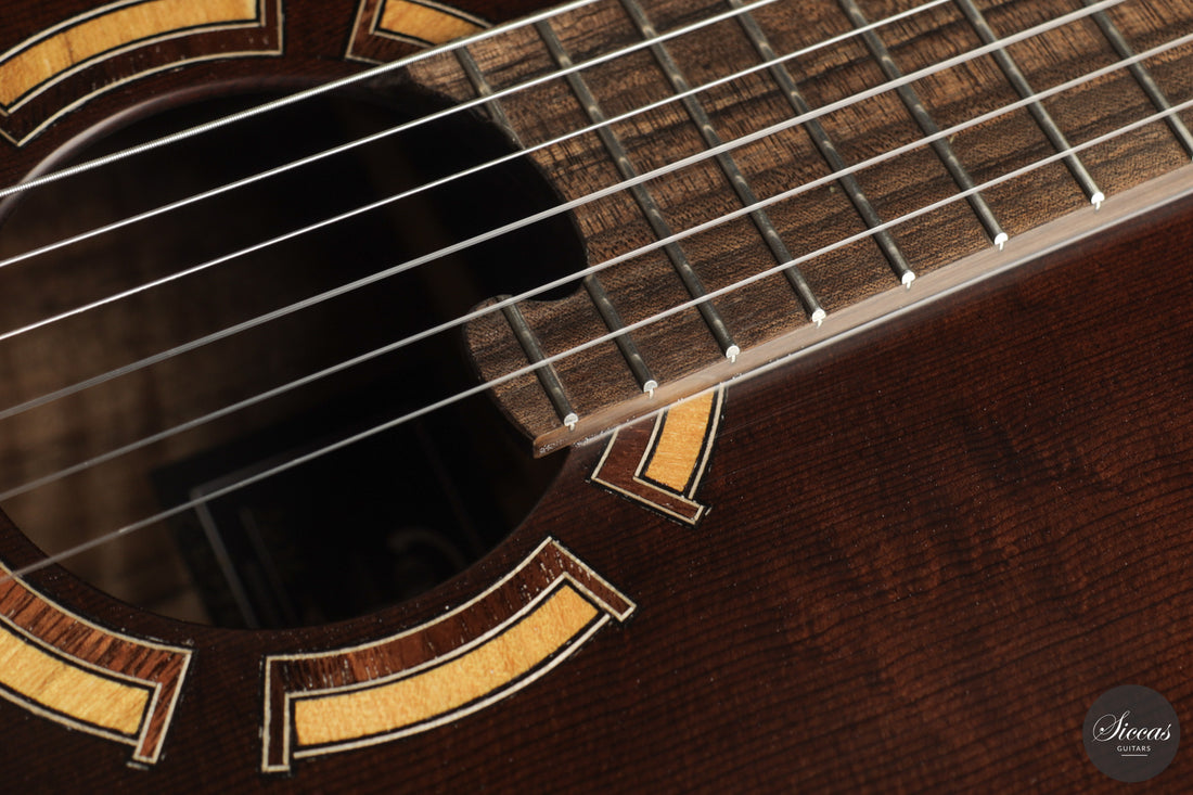 Ramin Fallah - 2026 No. 483