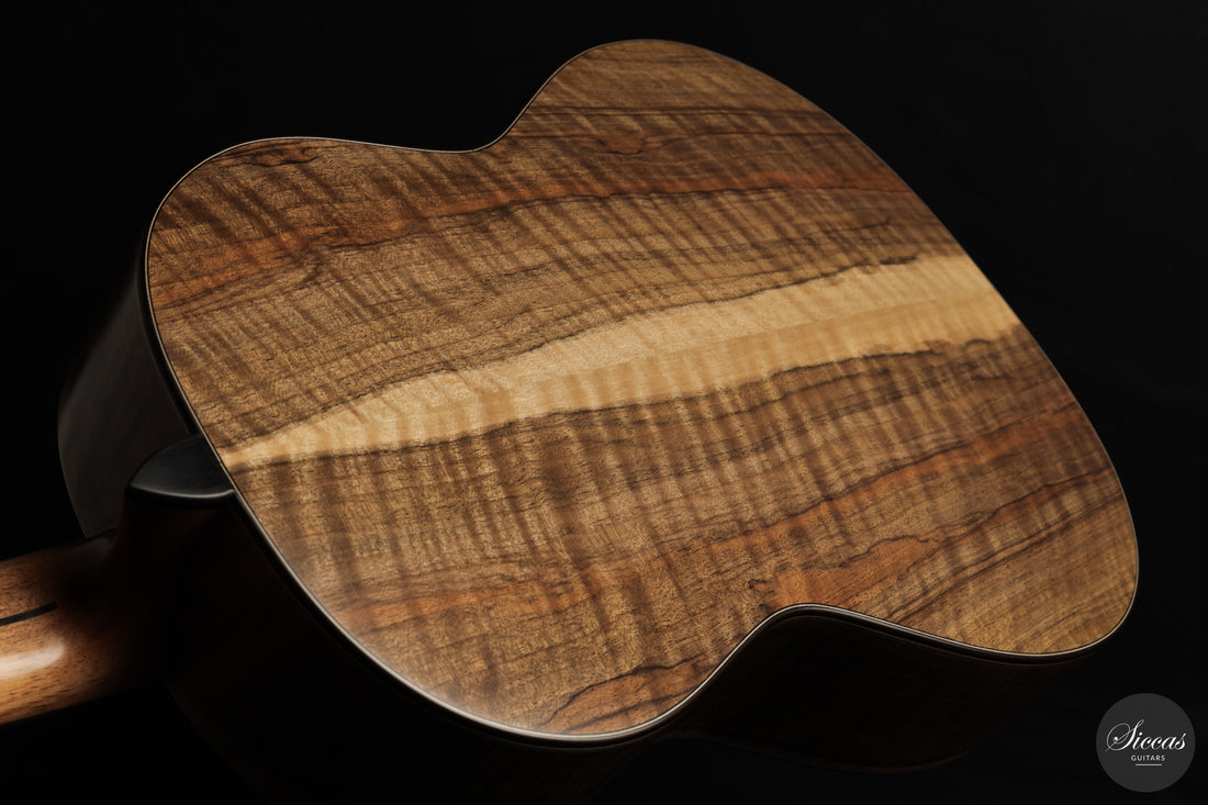 Ramin Fallah - 2026 No. 483