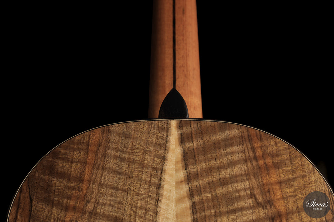 Ramin Fallah - 2026 No. 483