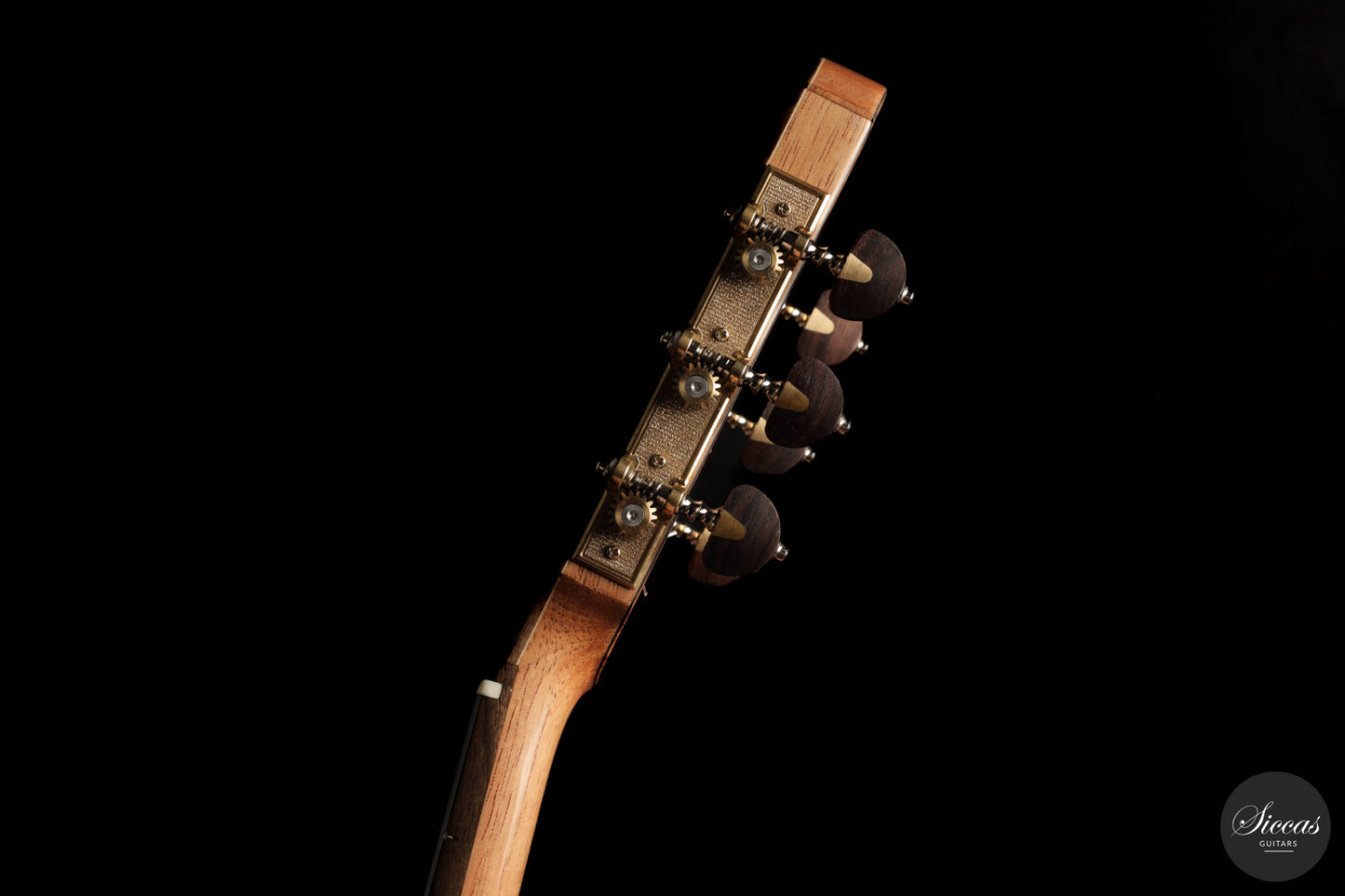 Ramin Fallah - 2026 No. 483