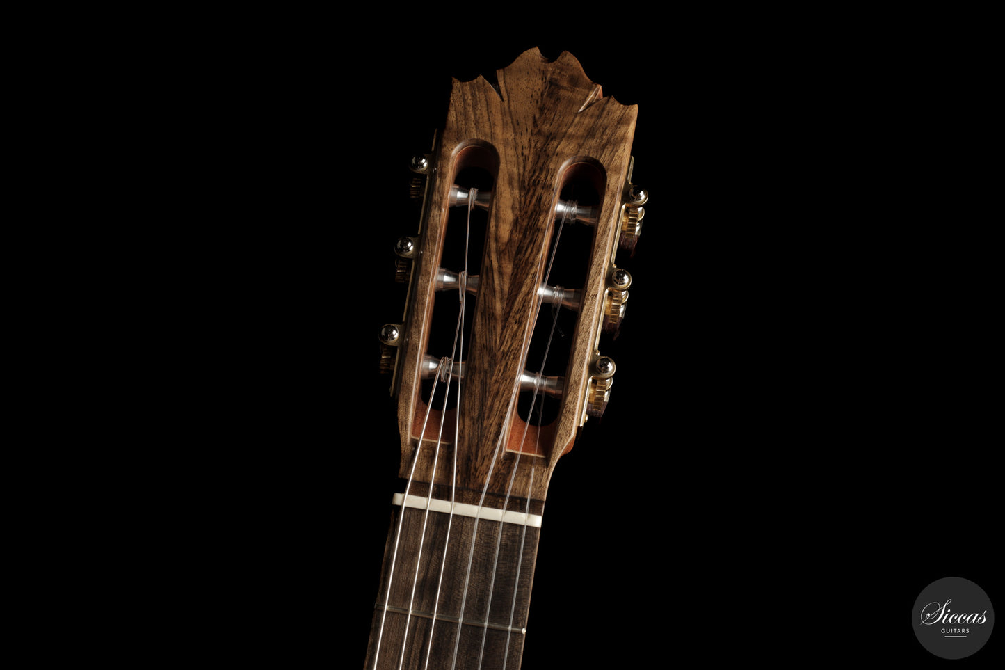 Ramin Fallah - 2026 No. 483