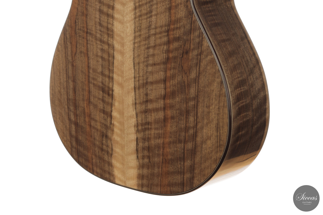 Ramin Fallah - 2026 No. 483