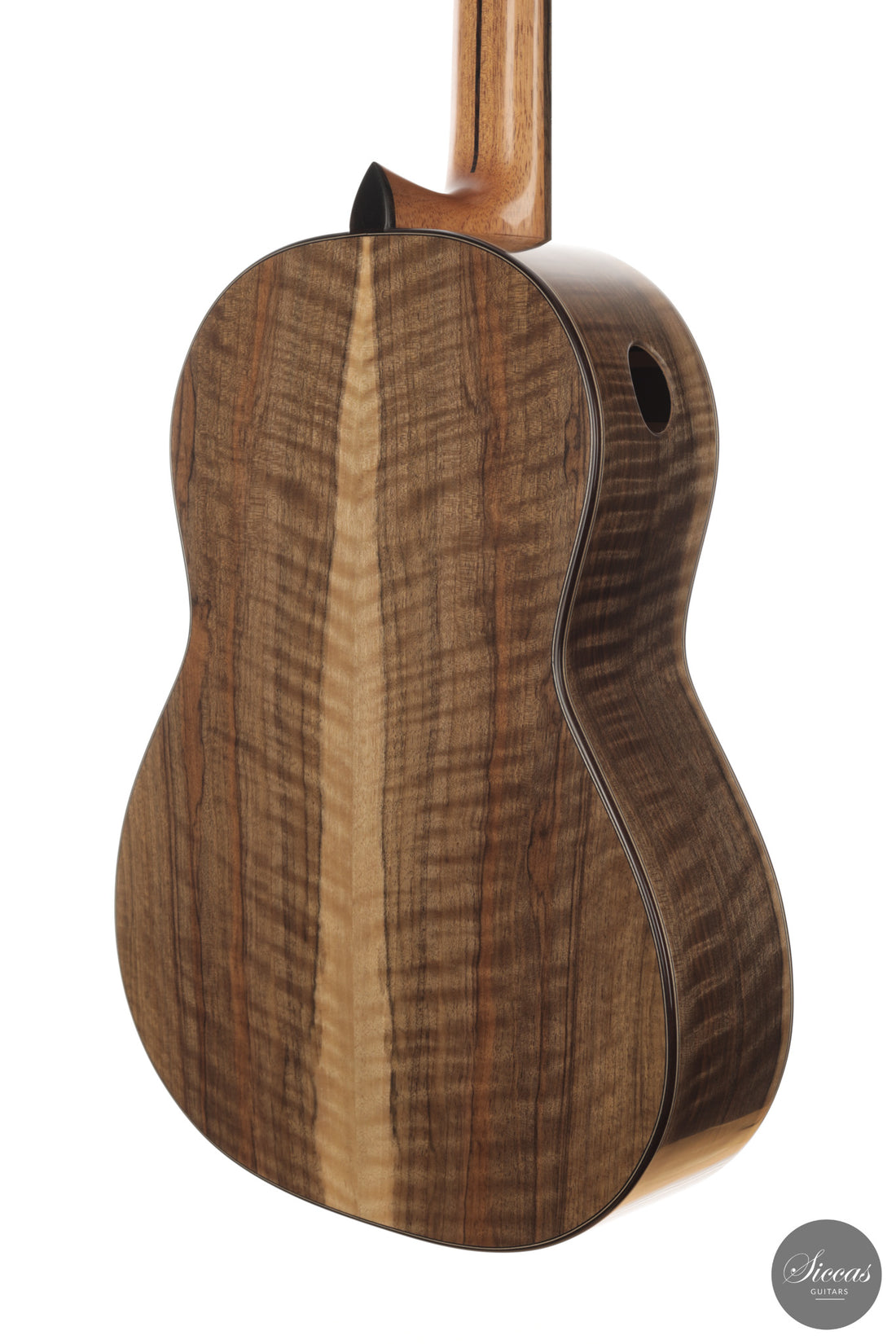 Ramin Fallah - 2026 No. 483