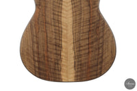 Ramin Fallah - 2026 No. 483