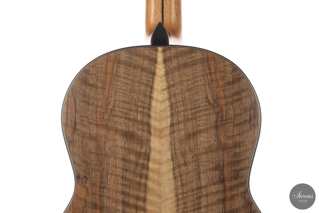 Ramin Fallah - 2026 No. 483