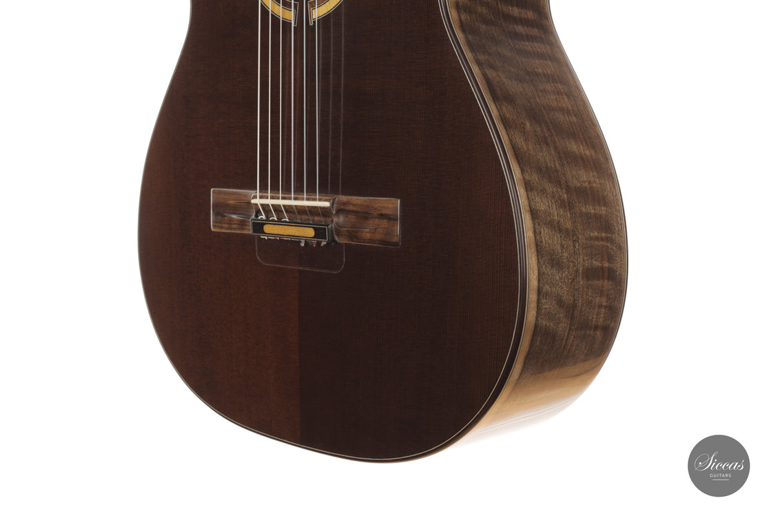 Ramin Fallah - 2026 No. 483