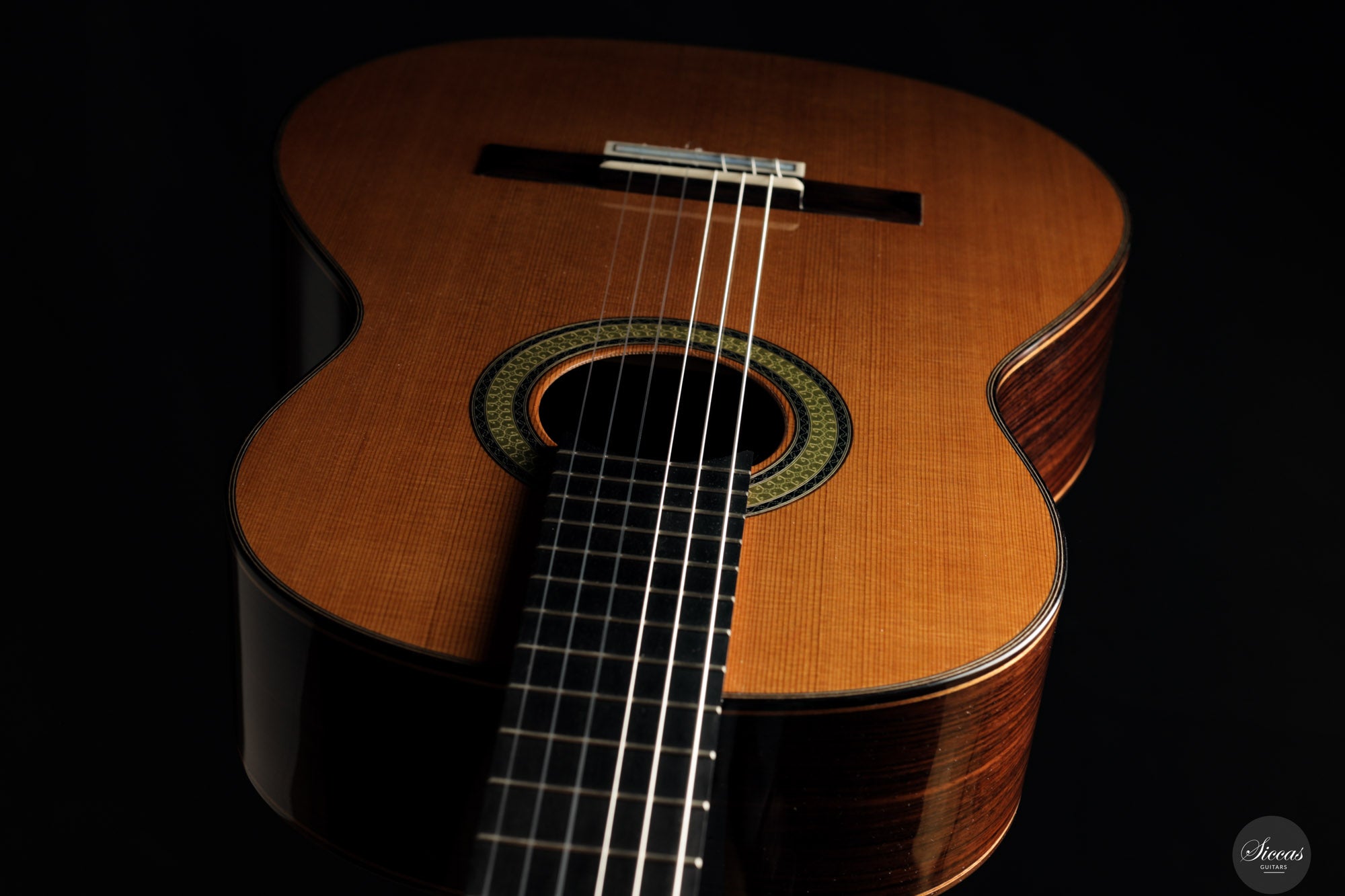 Reza Safavian - 2025 Doubletop – Siccas Guitars