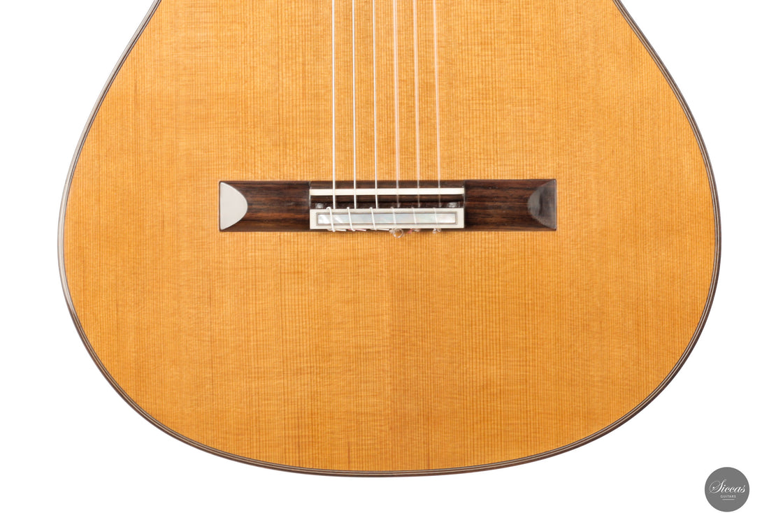 Reza Safavian - 2025 Doubletop  ON HOLD