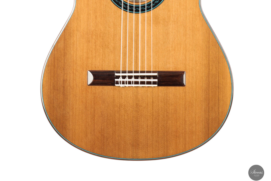 Rinaldo Vacca - 2025 No. 336 "Lattice" 64 cm
