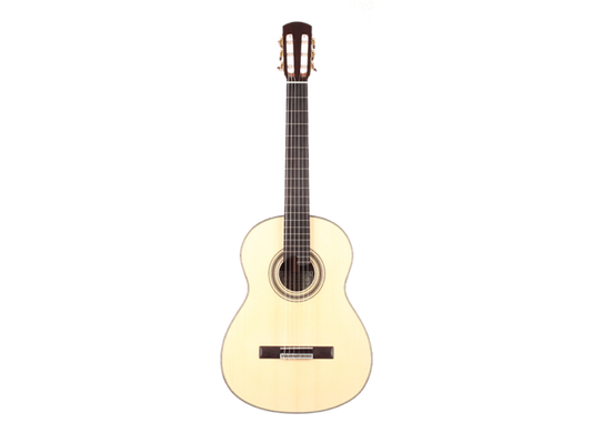 Roy Fankhänel - Special Edition 2016