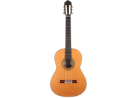 Sergio Perez - Aranjuez 2017