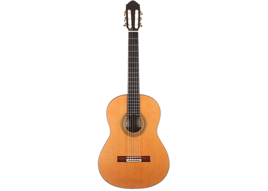 Sergio Perez - Aranjuez 2017