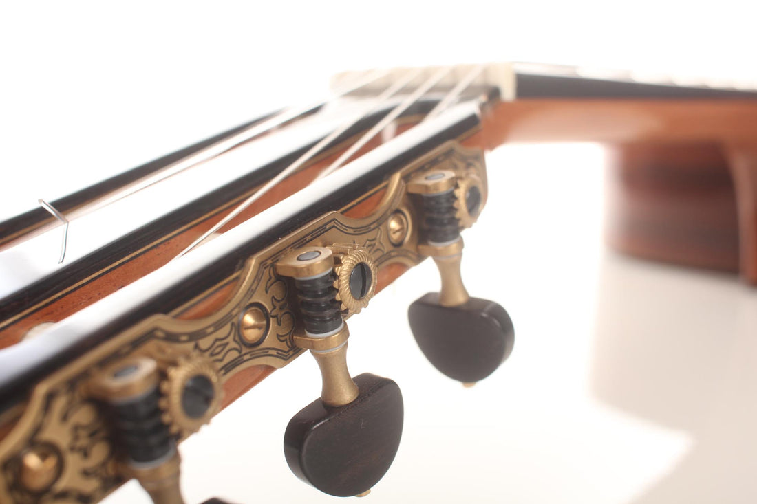 Sergio Perez - Aranjuez 2017