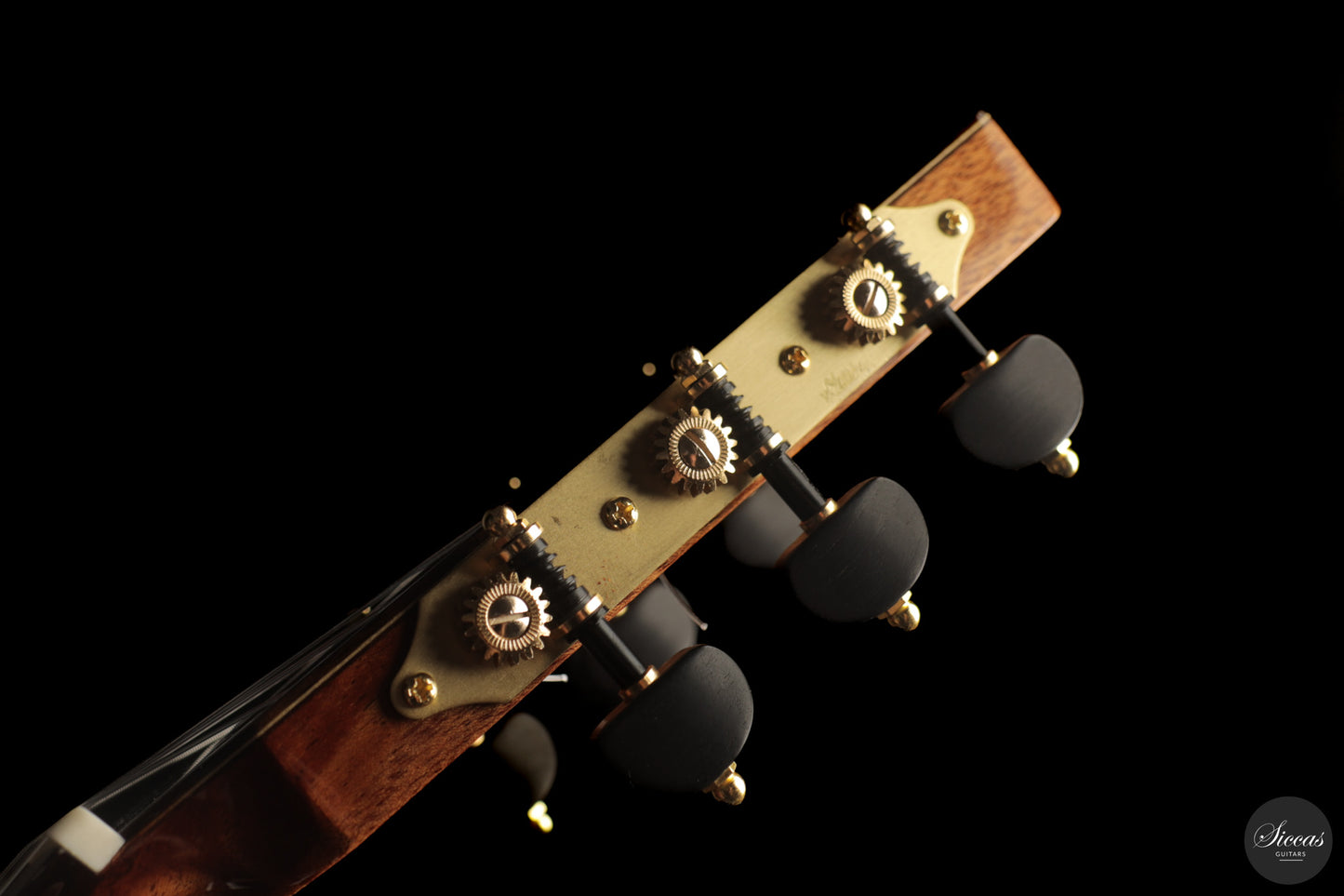 Siccas Luthiers - Origin Lattice Cedar