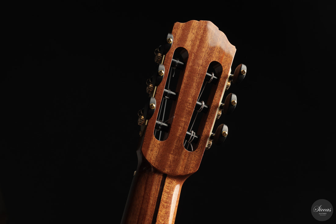 Siccas Luthiers - Origin Lattice Cedar