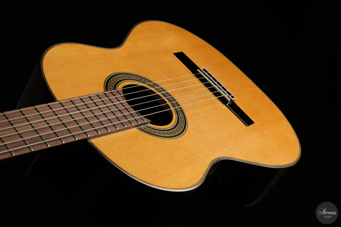 Siccas Luthiers - Origin Lattice Cedar