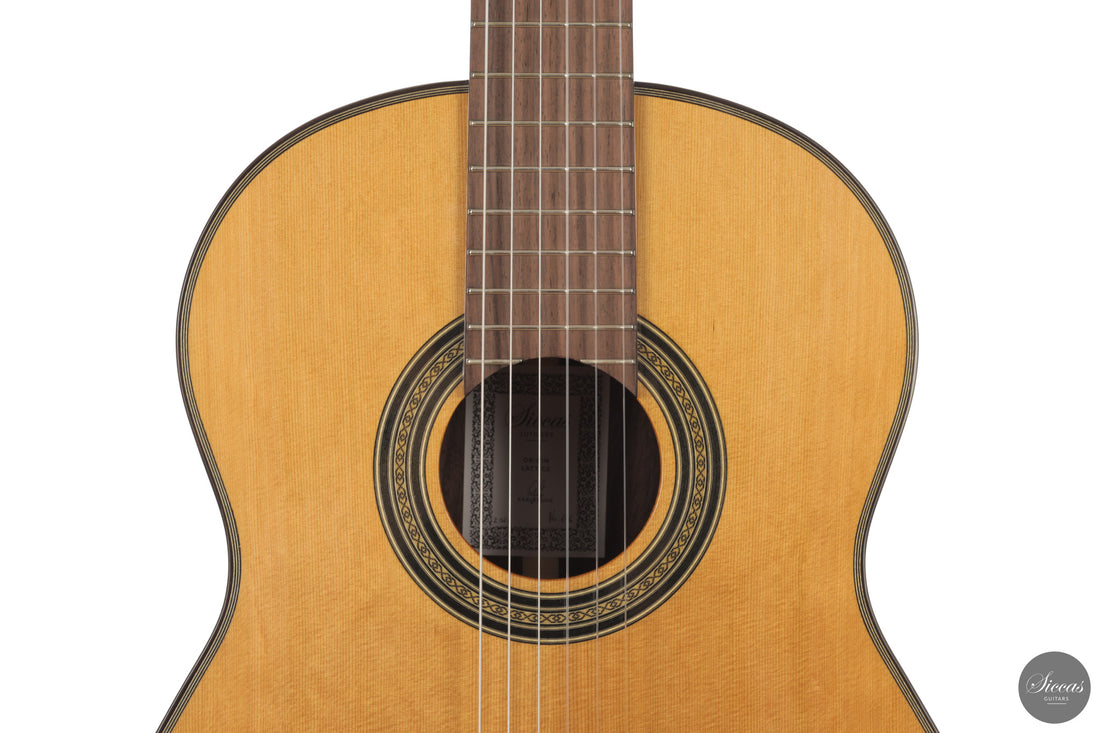 Siccas Luthiers - Origin Lattice Cedar