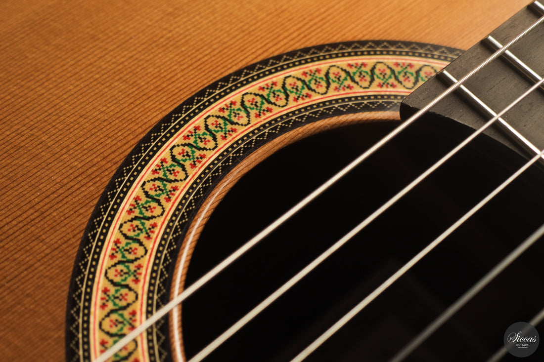 Siccas Luthiers - Continuum Lattice Cedar
