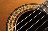 Siccas Luthiers - Continuum Lattice Cedar 64 cm