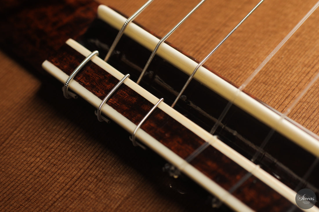 Siccas Luthiers - Continuum Lattice Cedar