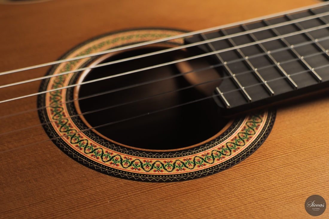 Siccas Luthiers - Continuum Lattice Cedar 64 cm