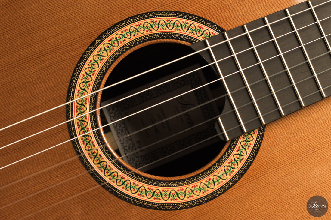 Siccas Luthiers - Continuum Lattice Cedar