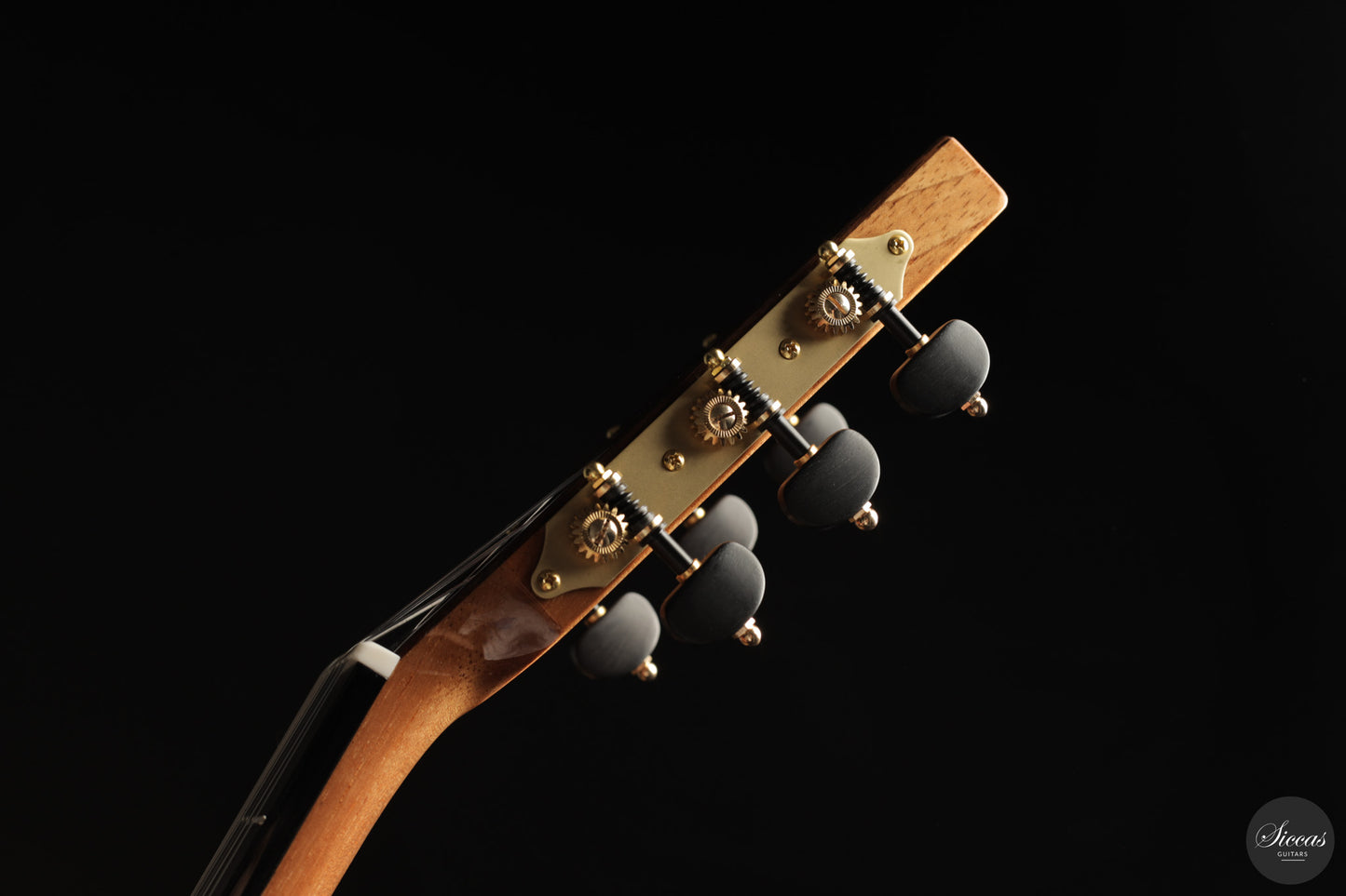 Siccas Luthiers - Continuum Lattice Cedar