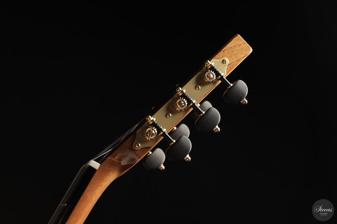 Siccas Luthiers - Continuum Lattice Cedar 64 cm