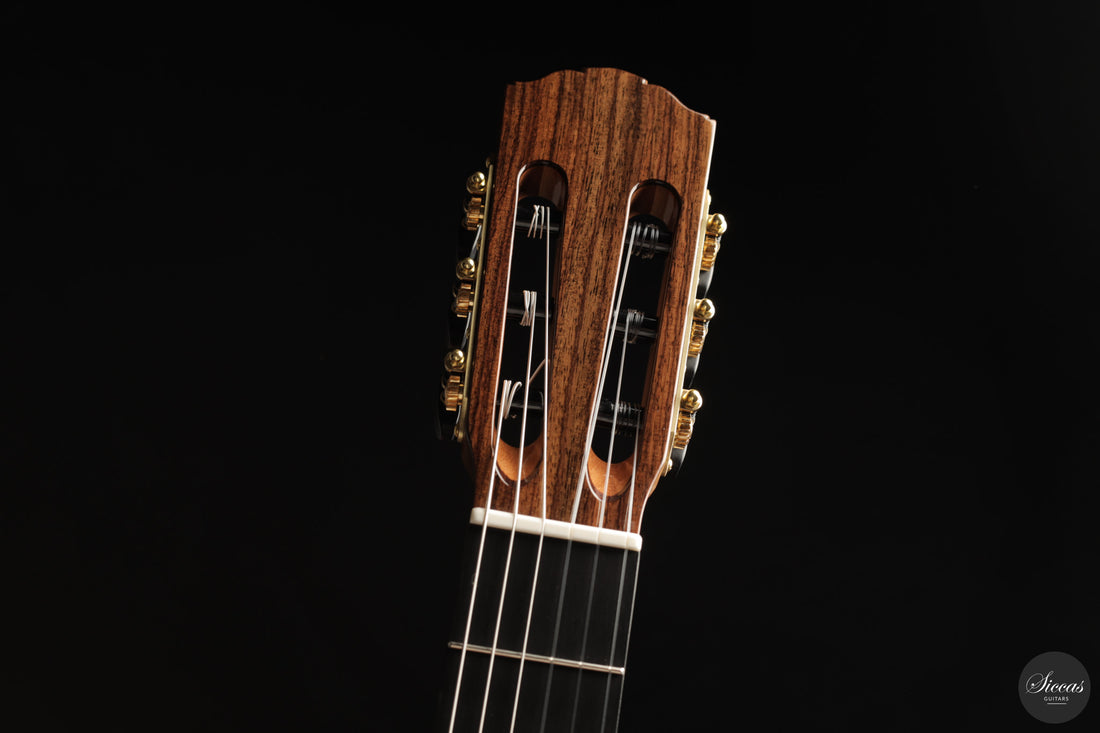 Siccas Luthiers - Continuum Lattice Cedar