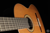 Siccas Luthiers - Continuum Lattice Cedar