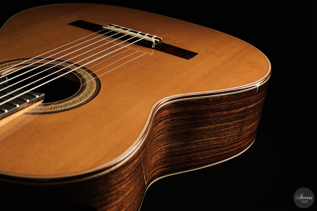Siccas Luthiers - Continuum Lattice Cedar 64 cm
