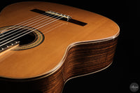 Siccas Luthiers - Continuum Lattice Cedar 64 cm