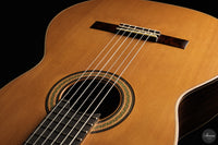 Siccas Luthiers - Continuum Lattice Cedar