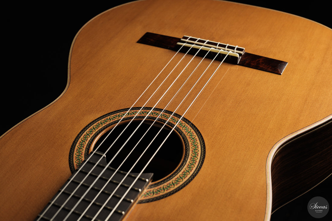 Siccas Luthiers - Continuum Lattice Cedar 64 cm
