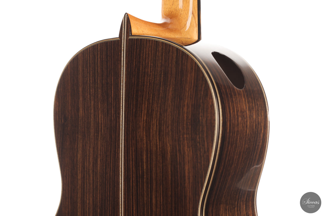Siccas Luthiers - Continuum Lattice Cedar