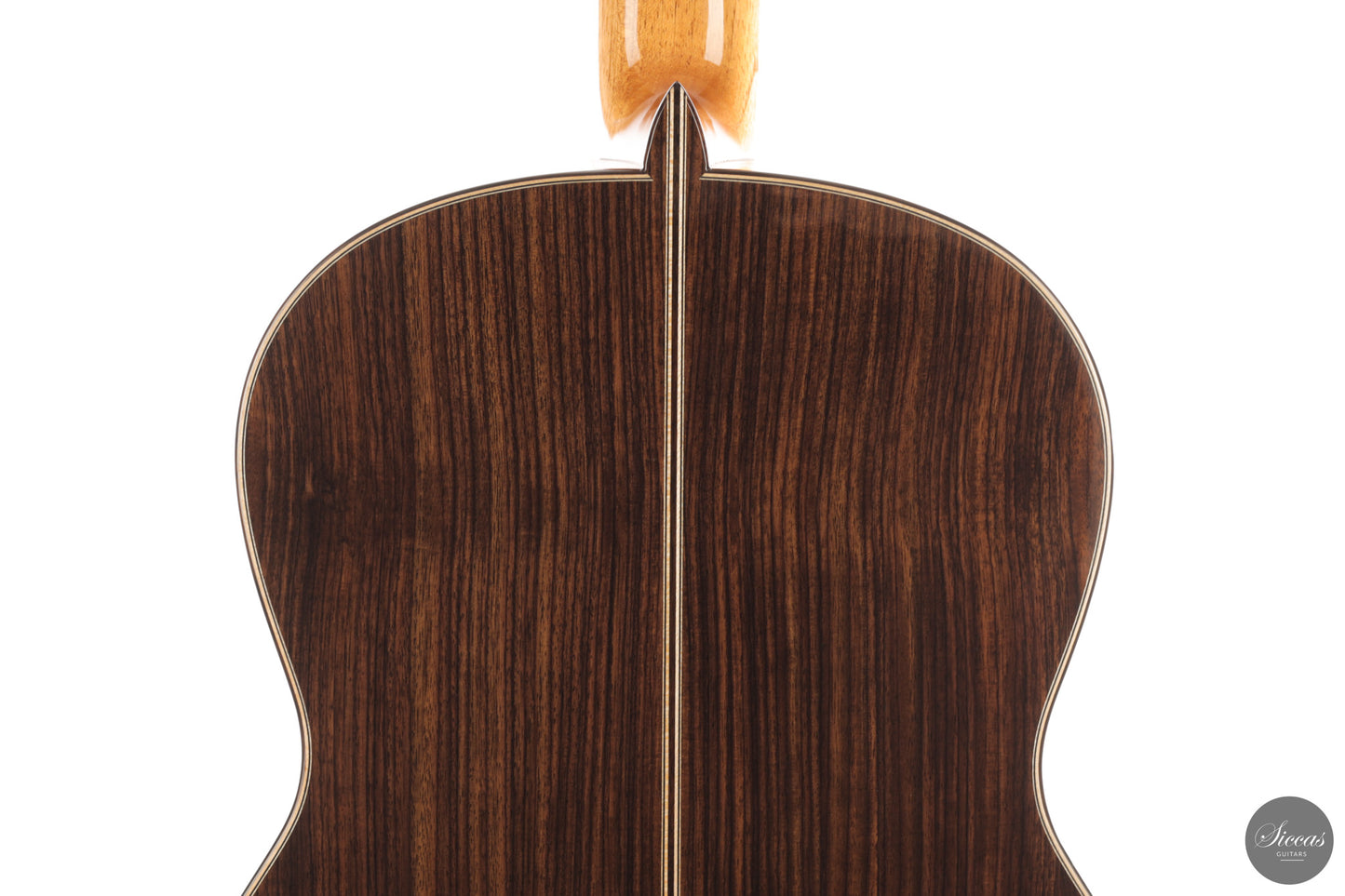 Siccas Luthiers - Continuum Lattice Cedar