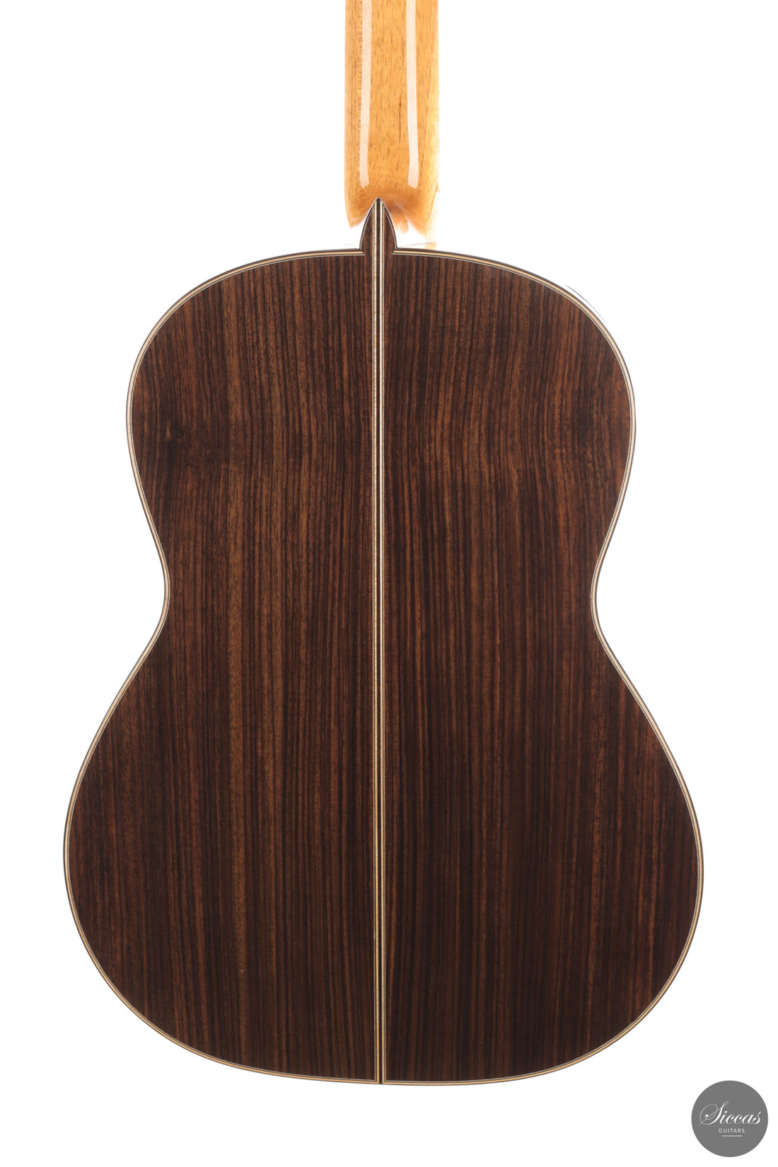 Siccas Luthiers - Continuum Lattice Cedar