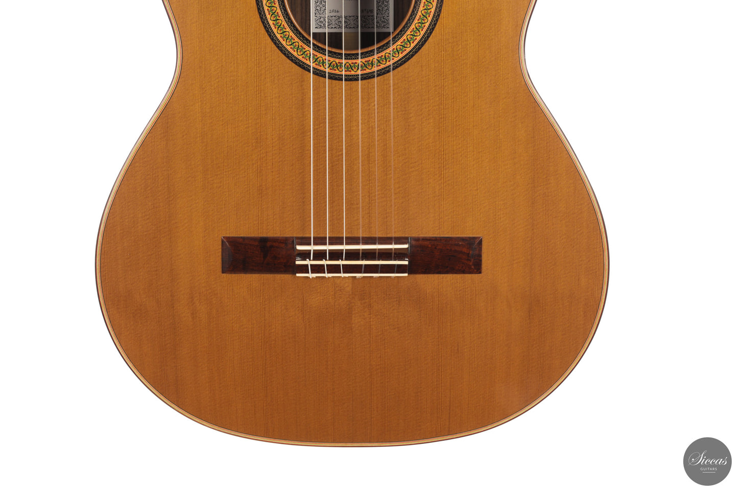Siccas Luthiers - Continuum Lattice Cedar