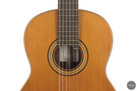 Siccas Luthiers - Continuum Lattice Cedar