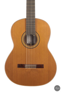 Siccas Luthiers - Continuum Lattice Cedar