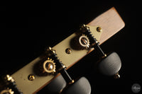 Siccas Luthiers - Continuum Lattice Spruce 64 cm